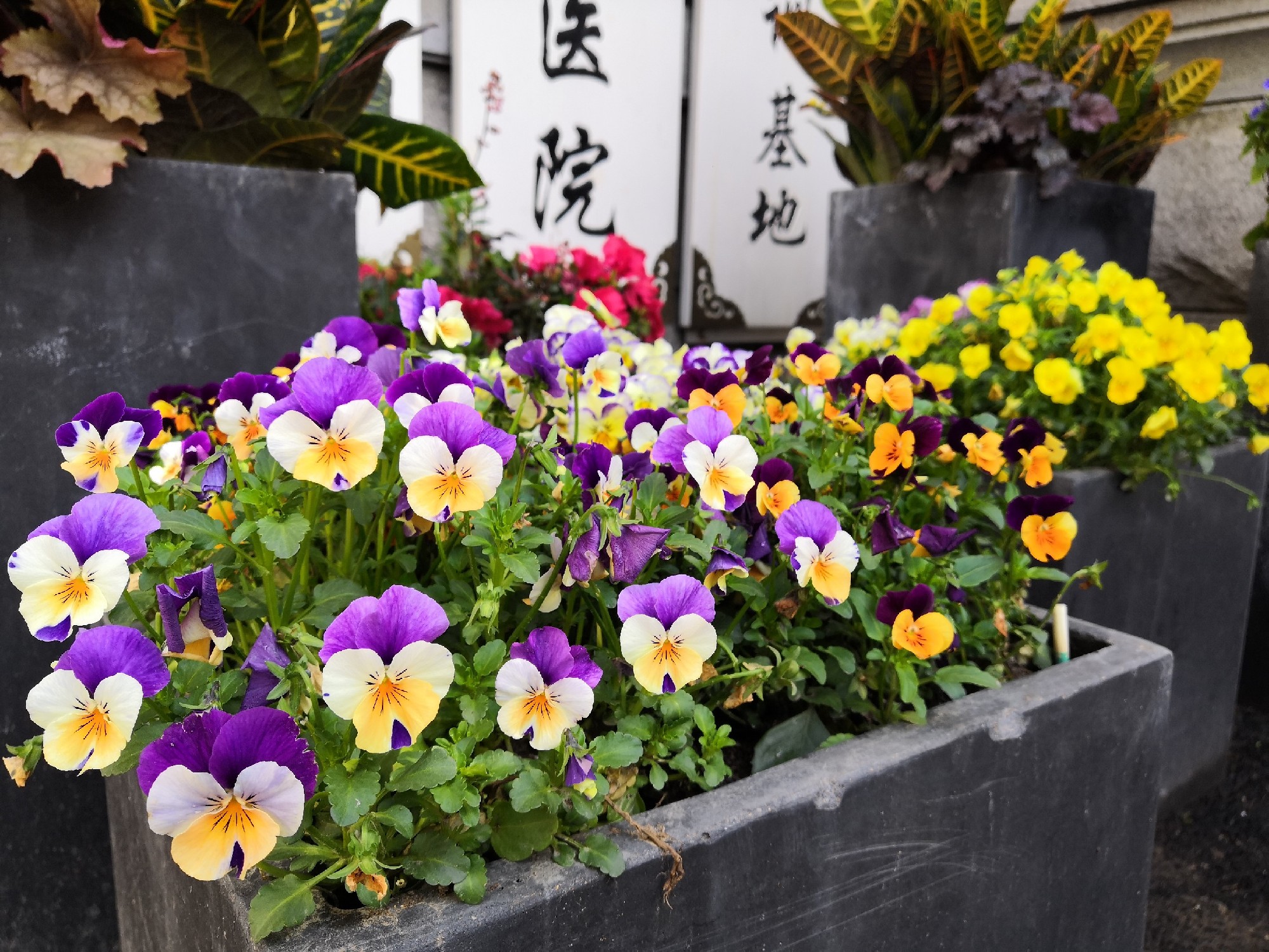 黄平主任的“夏季养生”宝典